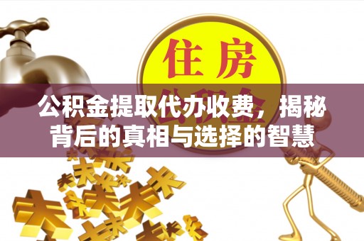 观音公积金提取代办收费，揭秘背后的真相与选择的智慧