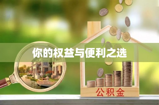 观音你的权益与便利之选