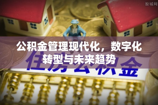 观音公积金管理现代化，数字化转型与未来趋势