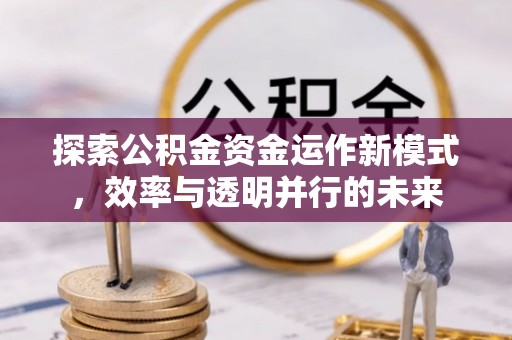 观音探索公积金资金运作新模式，效率与透明并行的未来