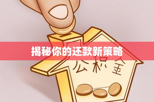 观音揭秘你的还款新策略