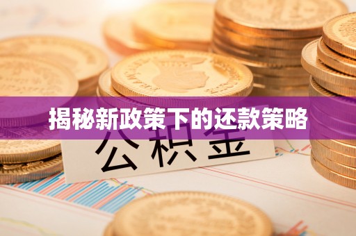 观音揭秘新政策下的还款策略