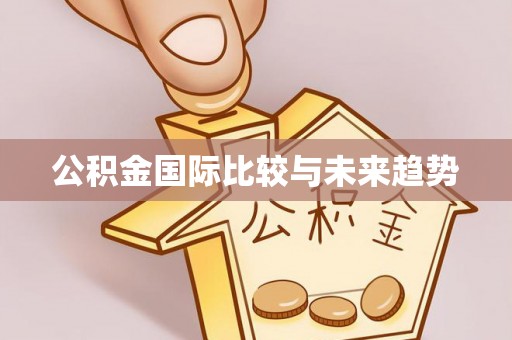 观音公积金国际比较与未来趋势