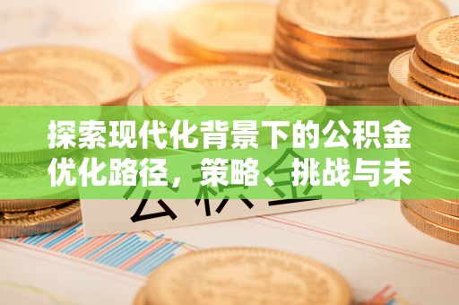 观音探索现代化背景下的公积金优化路径，策略、挑战与未来展望