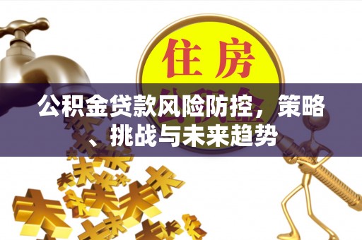 观音公积金贷款风险防控，策略、挑战与未来趋势
