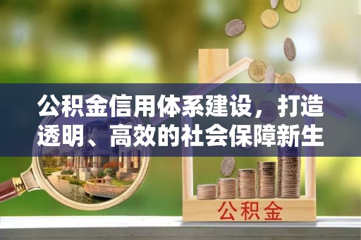 观音公积金信用体系建设，打造透明、高效的社会保障新生态