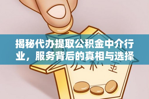 观音揭秘代办提取公积金中介行业，服务背后的真相与选择指南