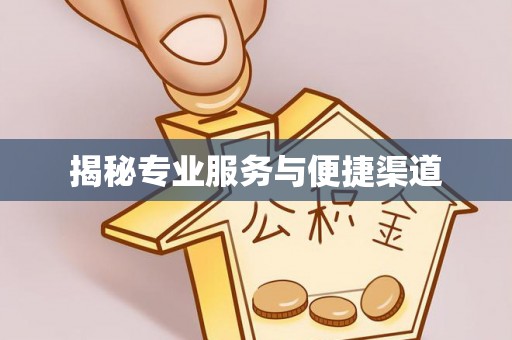 观音揭秘专业服务与便捷渠道