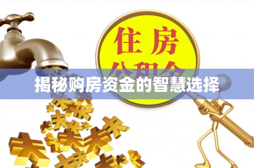 观音揭秘购房资金的智慧选择