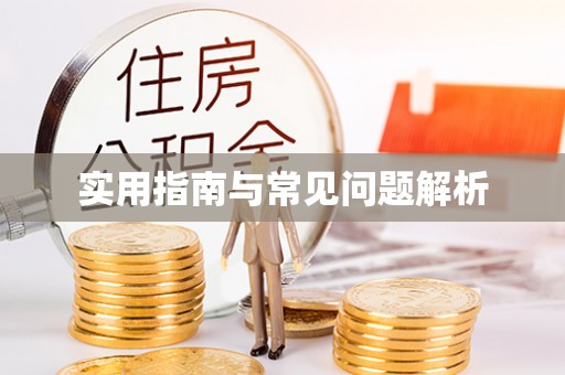 观音实用指南与常见问题解析