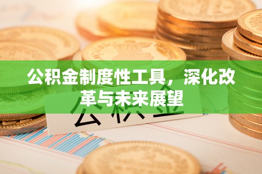 观音公积金制度性工具，深化改革与未来展望