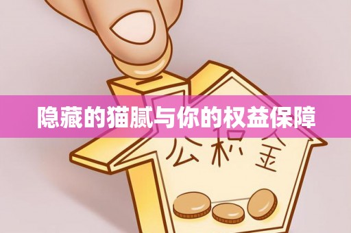 观音隐藏的猫腻与你的权益保障