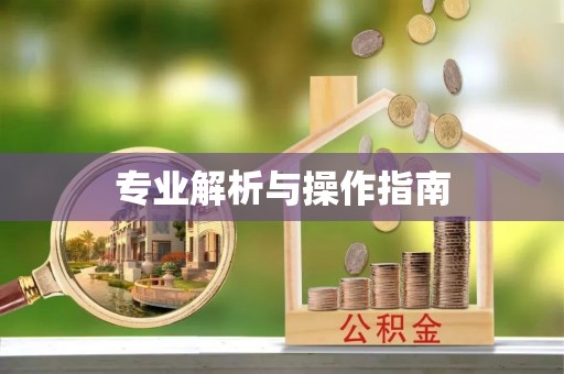 观音专业解析与操作指南