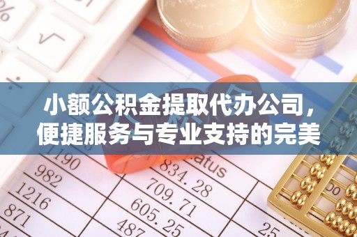 观音小额公积金提取代办公司，便捷服务与专业支持的完美结合