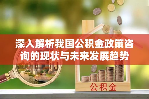 观音深入解析我国公积金政策咨询的现状与未来发展趋势