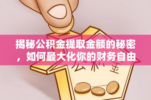 观音揭秘公积金提取金额的秘密，如何最大化你的财务自由