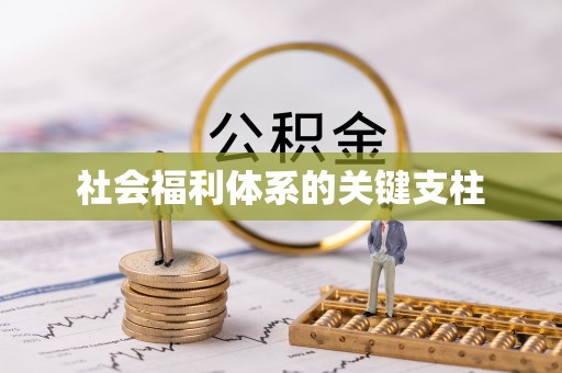 观音社会福利体系的关键支柱