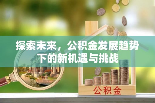 观音探索未来，公积金发展趋势下的新机遇与挑战