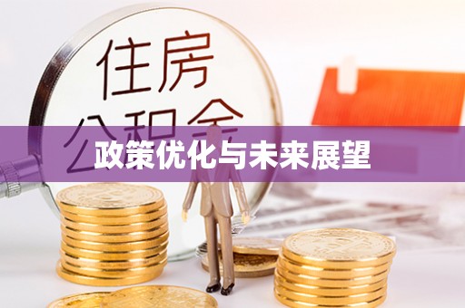 观音政策优化与未来展望