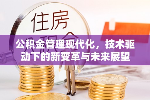 观音公积金管理现代化，技术驱动下的新变革与未来展望