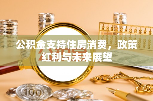 观音公积金支持住房消费，政策红利与未来展望
