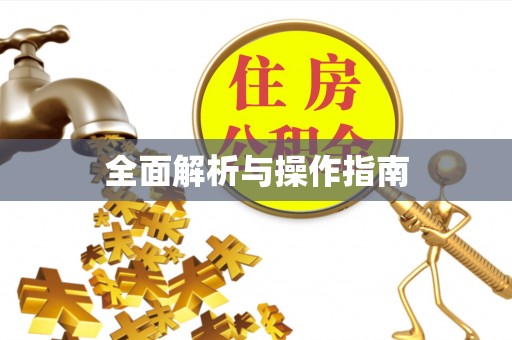 观音全面解析与操作指南