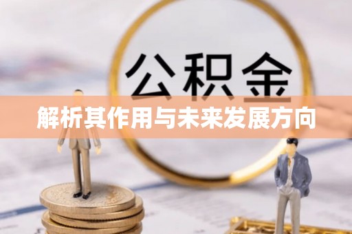 观音解析其作用与未来发展方向