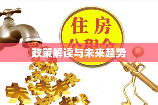 观音政策解读与未来趋势
