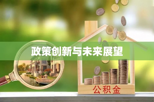 观音政策创新与未来展望