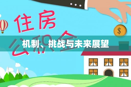 观音机制、挑战与未来展望